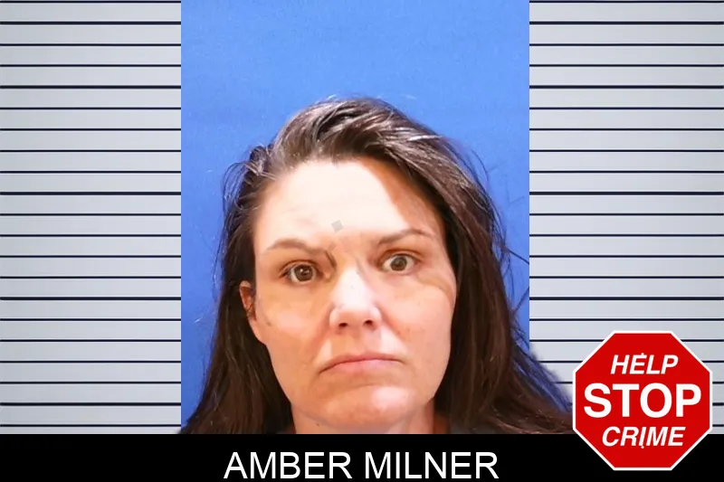 Amber Milner Mugshots