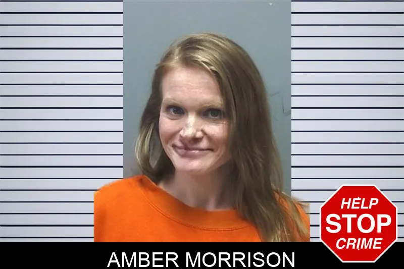 Amber Morrison mugshot