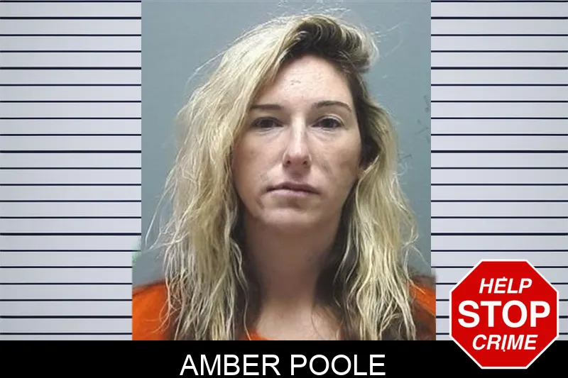 Amber Poole Mugshots