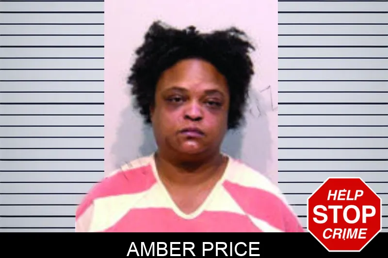 Amber Price Mugshots