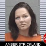Amber Strickland Mugshots