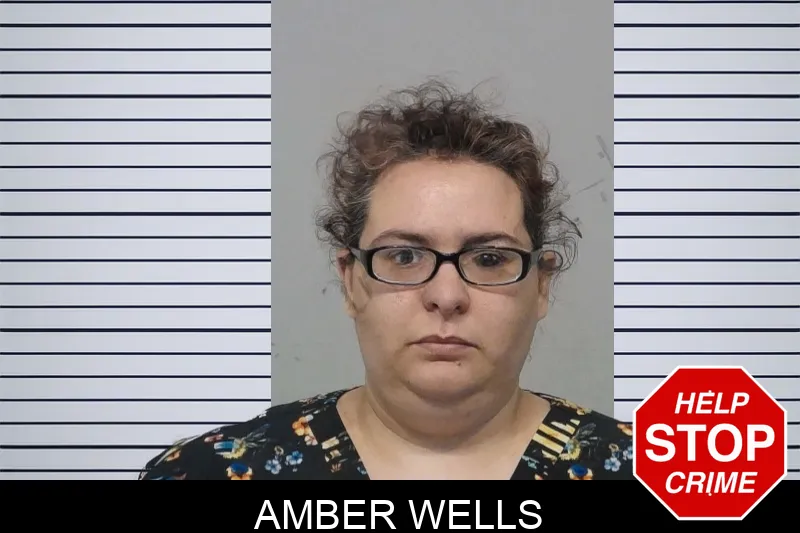 Amber Wells Mugshots