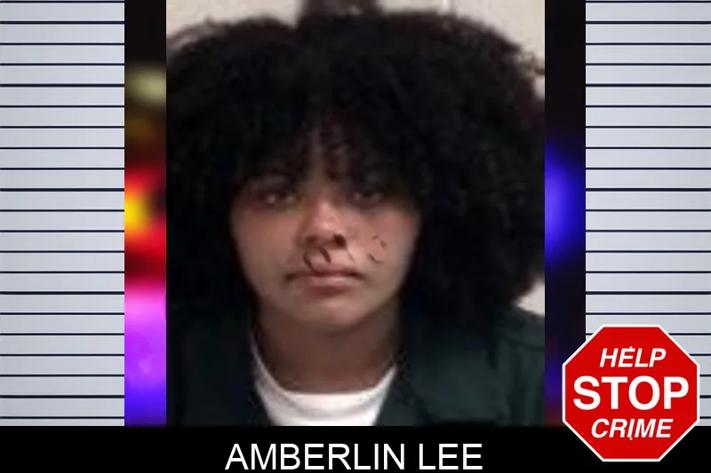 Amberlin Lee Mugshots