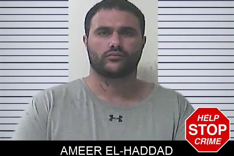 Ameer El-Haddad Mugshots