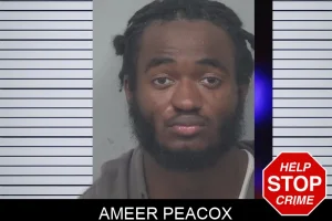Ameer Peacox mugshot