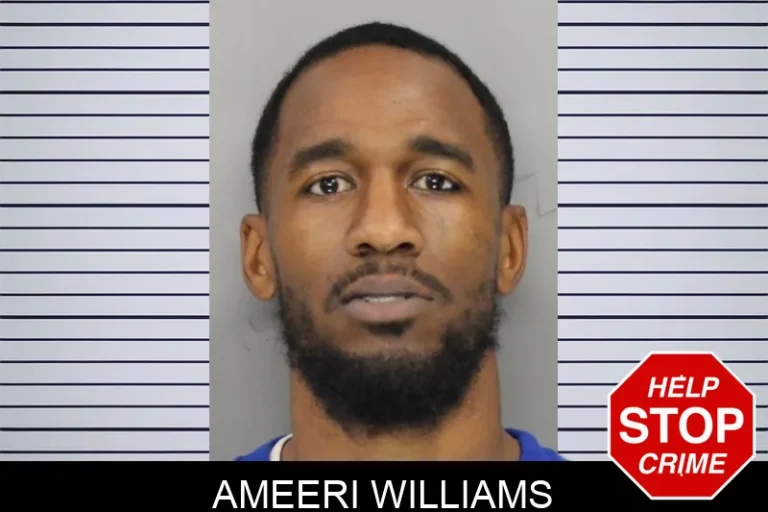 Ameeri Williams mugshot – Cobb County , Georgia Ameeri Williams