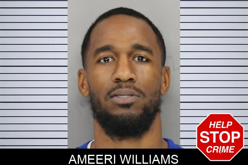 Ameeri Williams mugshot