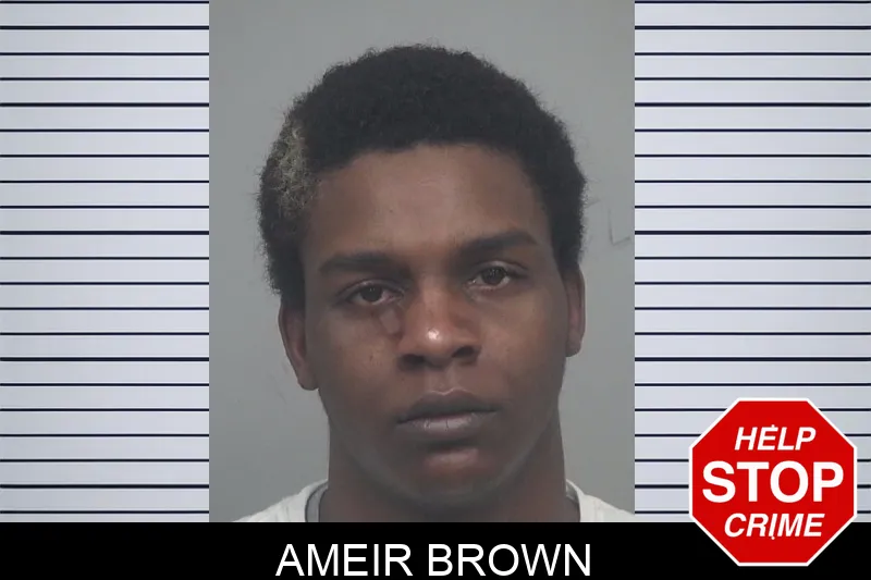 Ameir Brown Mugshots