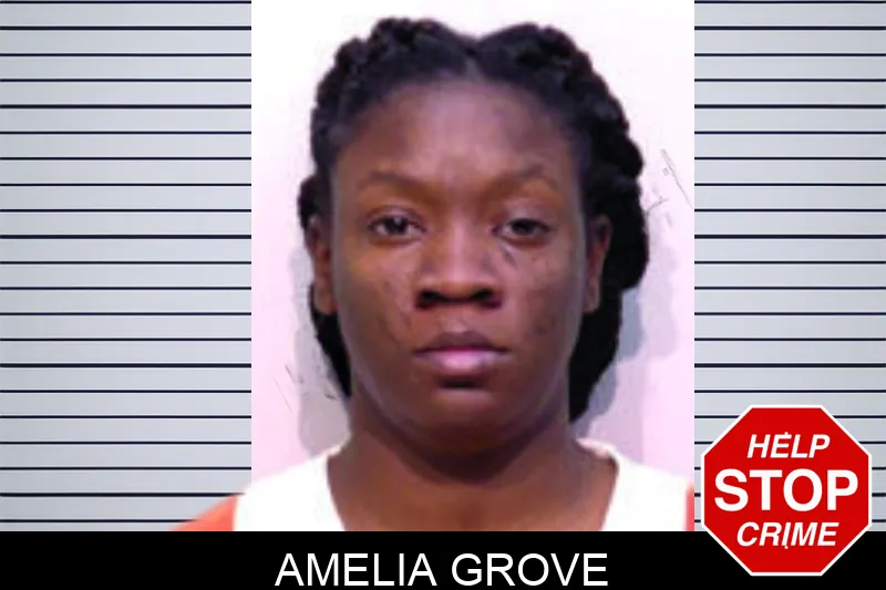 Amelia Grove Mugshots