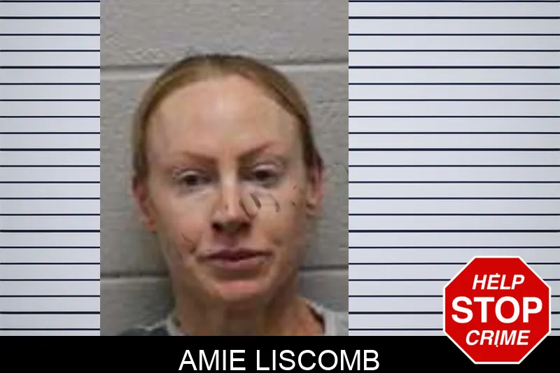 Amie Liscomb Mugshots