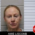 Amie Liscomb Mugshots