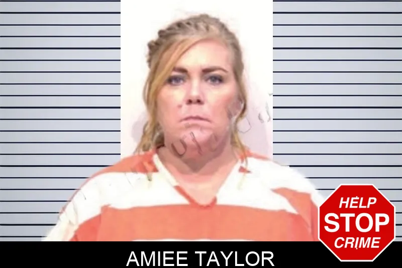 Amiee Taylor Mugshots