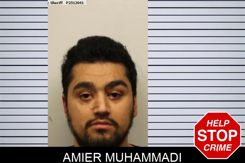 Amier Muhammadi mugshot