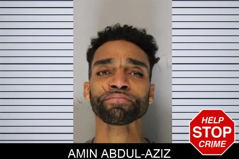 Amin Abdul-Aziz