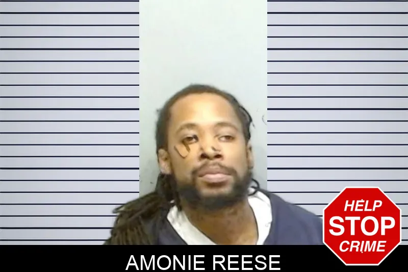 Amonie Reese mugshot