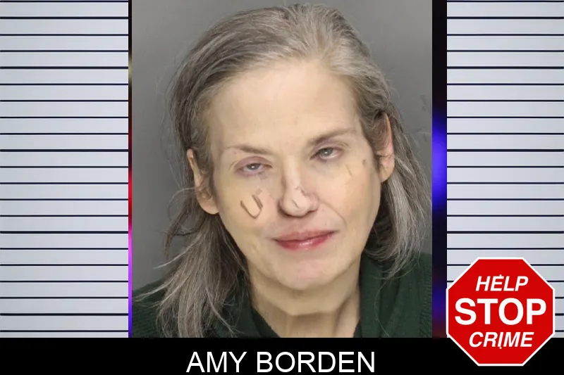 Amy Borden Mugshots