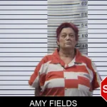 Amy Fields Mugshots