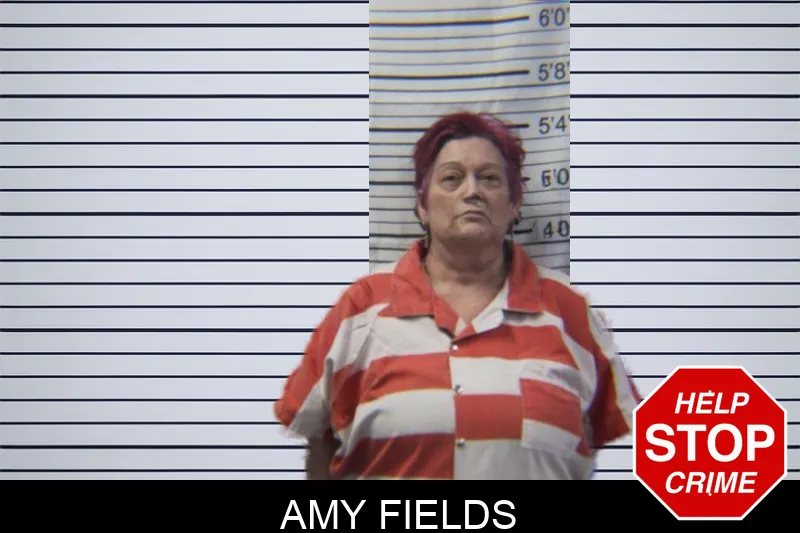 Amy Fields Mugshots