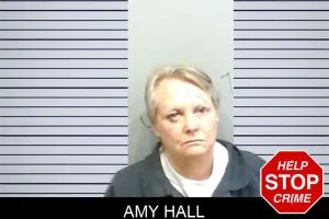 Amy Hall mugshot