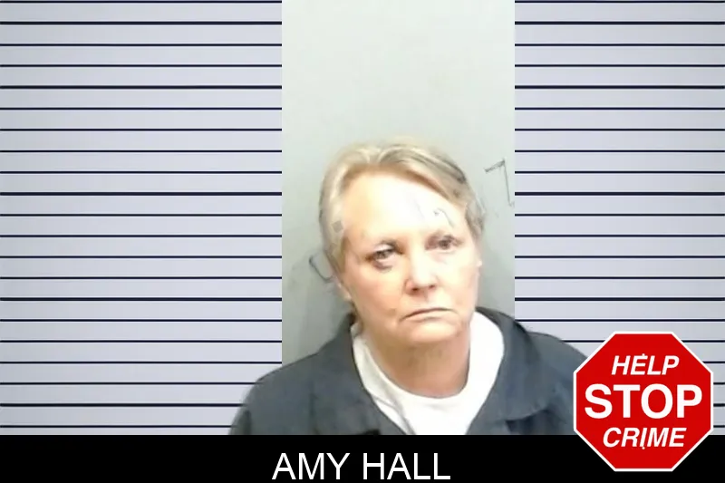 Amy Hall mugshot – Fulton County , Georgia Amy Hall mugshot