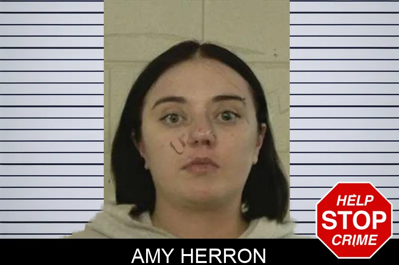 Amy Herron Mugshots