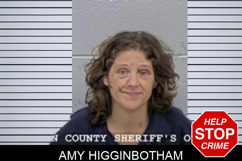 Amy Higginbotham Mugshots