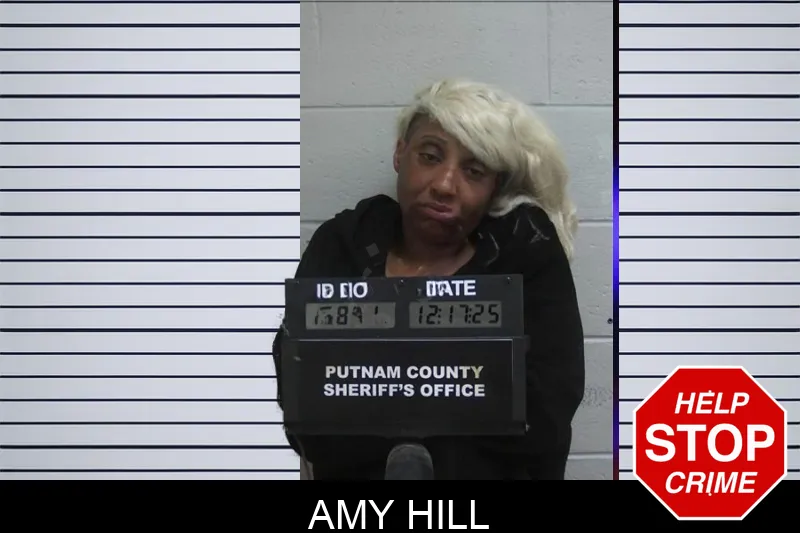 Amy Hill Mugshots