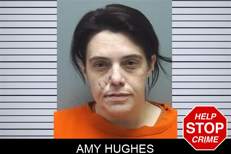 Amy Hughes Mugshots