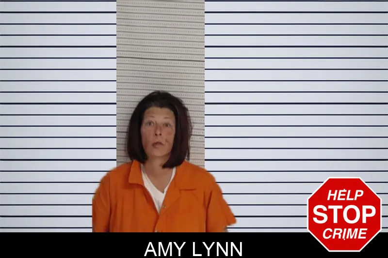 Amy Lynn Mugshots