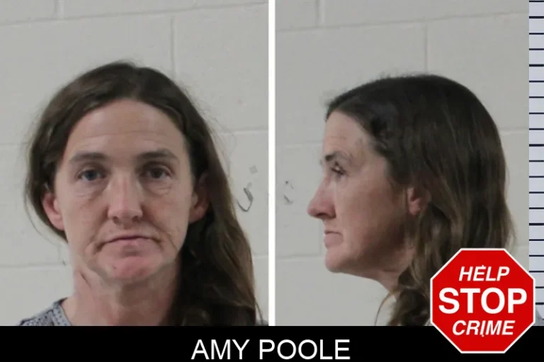 Amy Poole mugshot – Houston County , Georgia Amy Poole