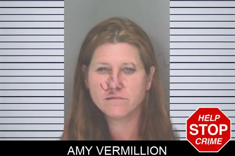 Amy Vermillion mugshot – Douglas County , Georgia Amy Vermillion
