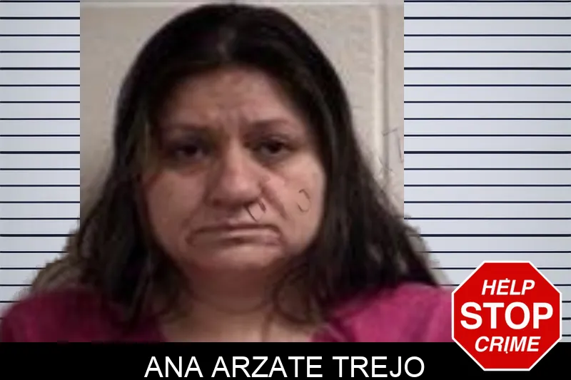 Ana Arzate Trejo Mugshots