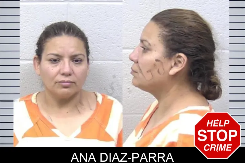 Ana Diaz-Parra Mugshots