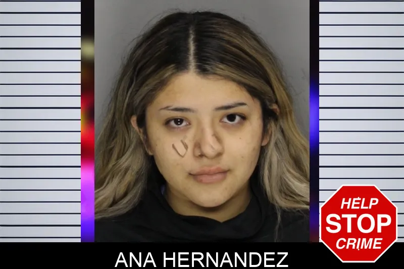 Ana Hernandez Mugshots
