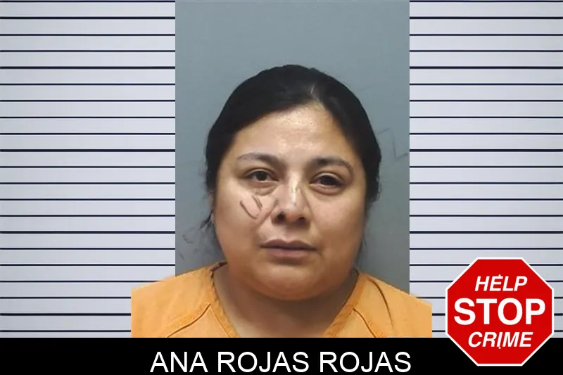 Ana Rojas Rojas Mugshots