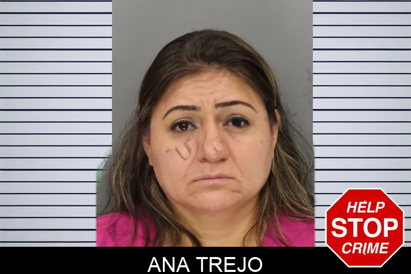 Ana Trejo mugshot – Cobb County , Georgia Ana Trejo mugshot