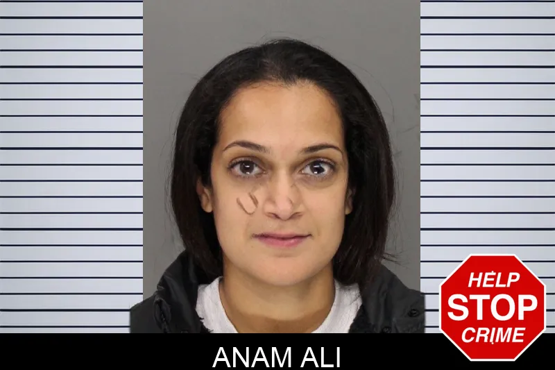 Anam Ali Mugshots