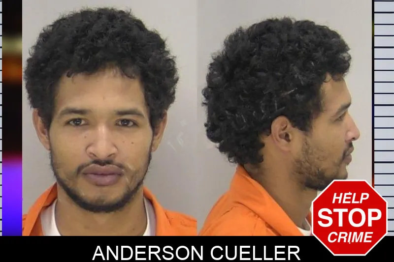 Anderson Cueller Mugshots