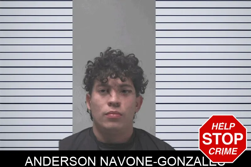 Anderson Navone-Gonzales Mugshots