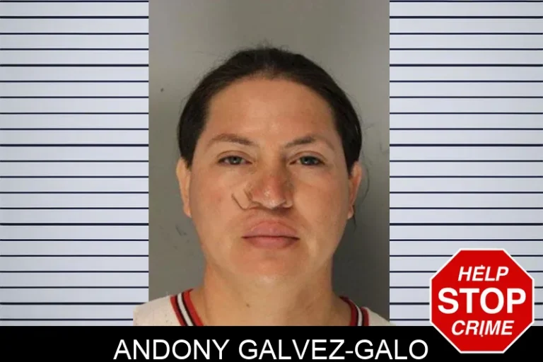 Andony Galvez-Galo