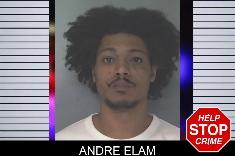 Andre Elam Mugshots