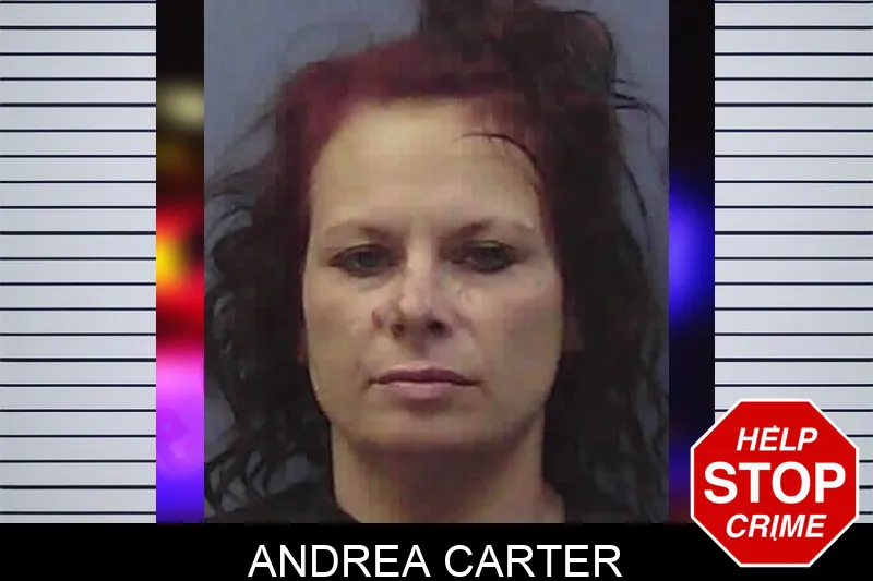 Andrea Carter Mugshots