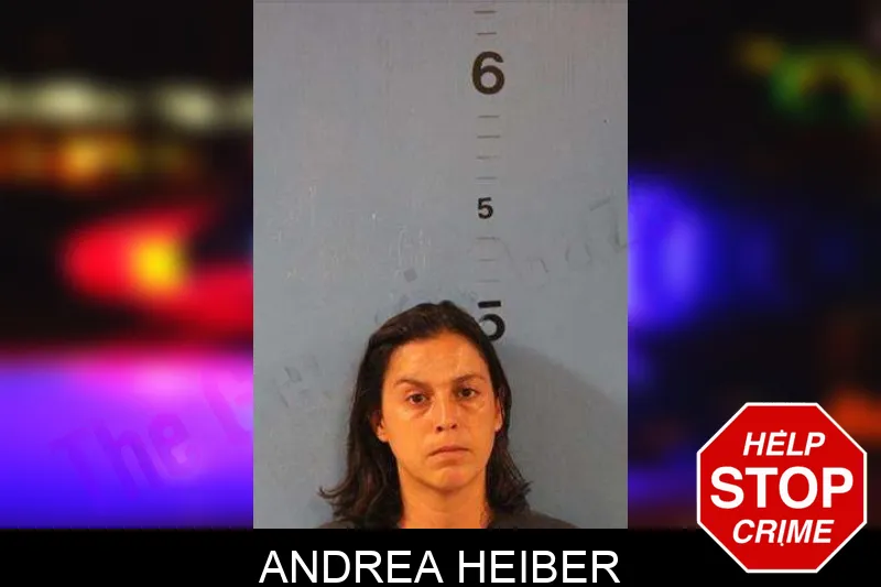 Andrea Heiber Mugshots