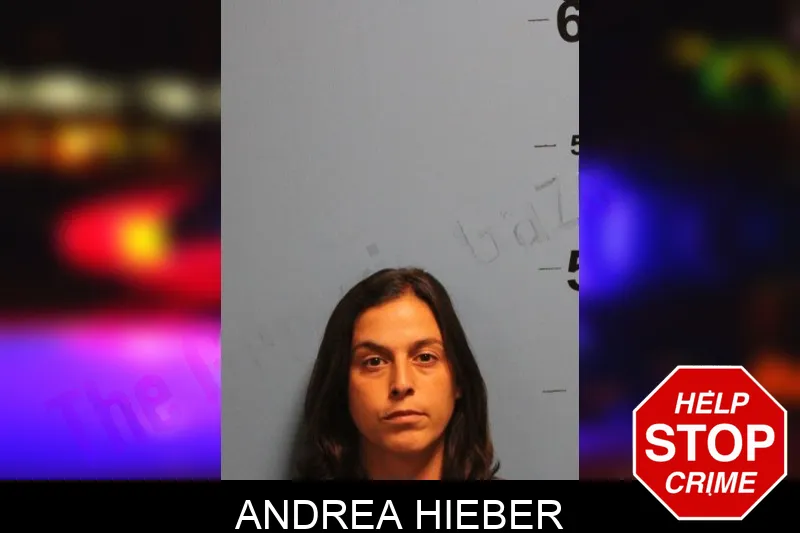Andrea Hieber Mugshots