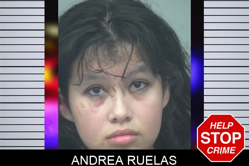 Andrea Ruelas Mugshots
