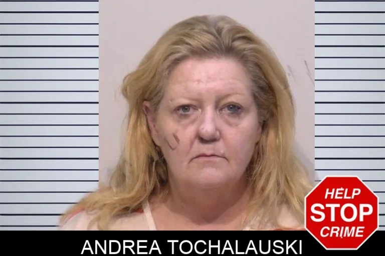 Andrea Tochalauski mugshot – Bartow County , Georgia Andrea Tochalauski