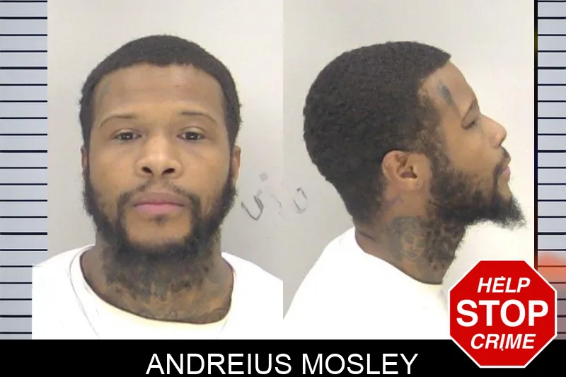 Andreius Mosley Mugshots