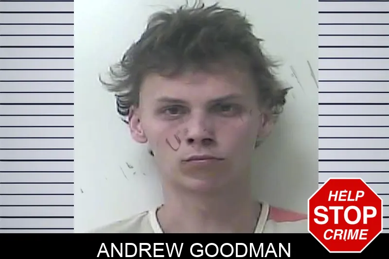 Andrew Goodman Mugshots