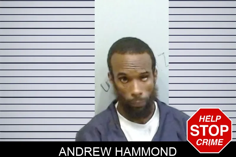 Andrew Hammond Mugshots
