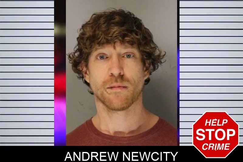 Andrew Newcity mugshot